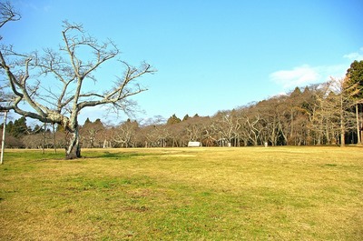 三神峯公園4.jpg