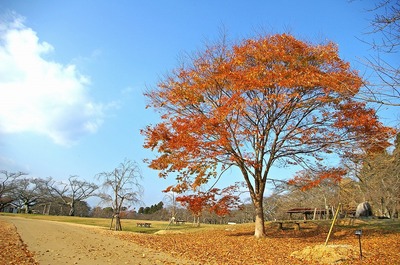 三神峯公園6.jpg
