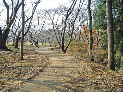 三神峯公園9.jpg